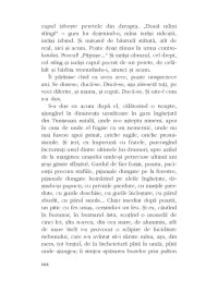 Rosu rosu catifea 8