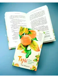 Тун. Лето в розовом городе 5