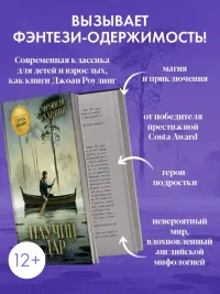 Волшебные миры Фрэнсис Хардинг. Паучий дар 3