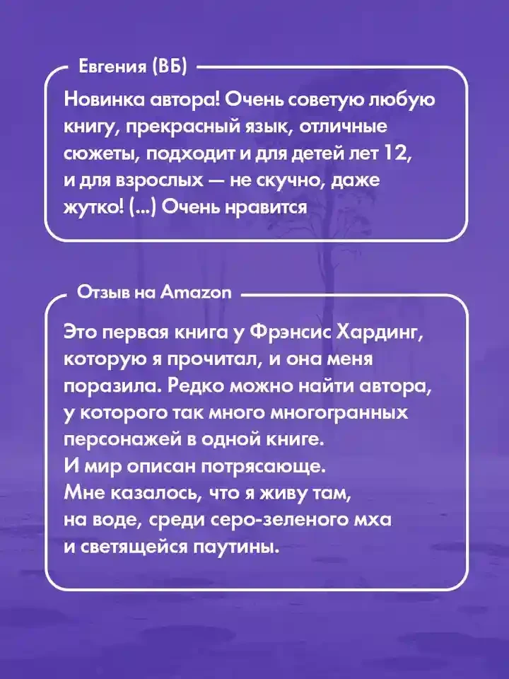 Волшебные миры Фрэнсис Хардинг. Паучий дар 2