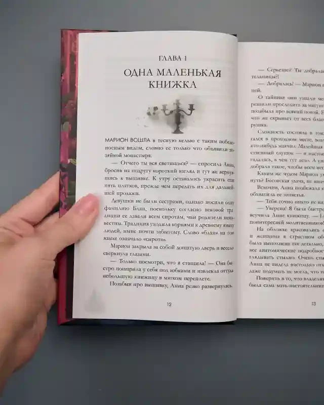 Эпоха безумного короля 14