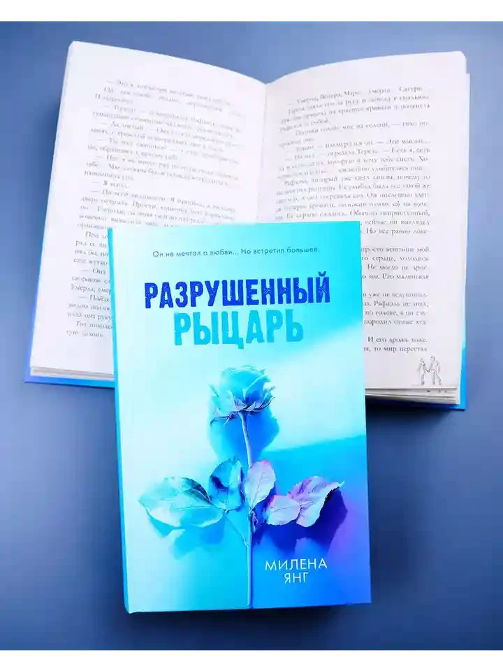 Разрушенный рыцарь 6