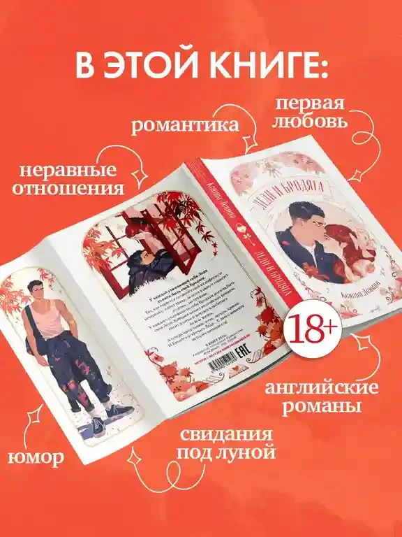 Леди и Бродяга 6