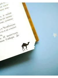 По степи шагал верблюд 11