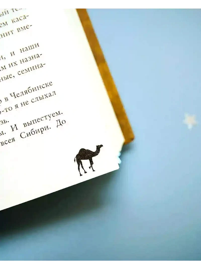 По степи шагал верблюд 11