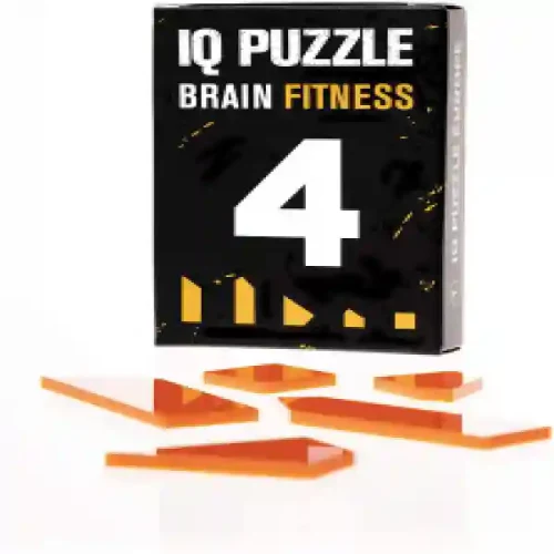 IQ Puzzle Number 4 art.296