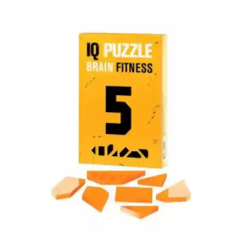 IQ Puzzle Number 5 1491