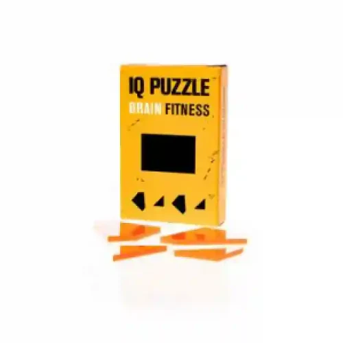 IQ Puzzle Rectangle art.227
