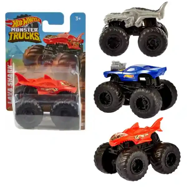 HFB96 Hot Wheels Monster Trucks 1:70 ass 2