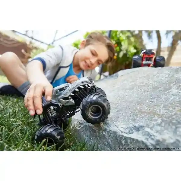 FYJ83 Masina HW Monster Trucks 1;24 in asort. 12