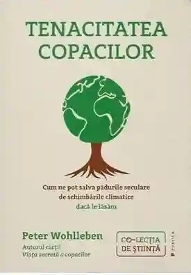 Tenacitatea copacilor
