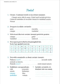 Exceleaza la limba romana : clasa 2 3