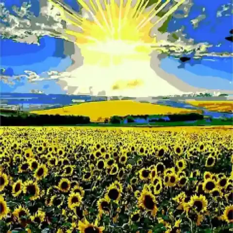 ZB.64103 Pictura pe numere  Camp de floarea soarelui, 40*50 cm, ART Line