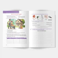 Compuneri creative : idei si tehnici pentru inspiratie: Clasa a 4-a 2