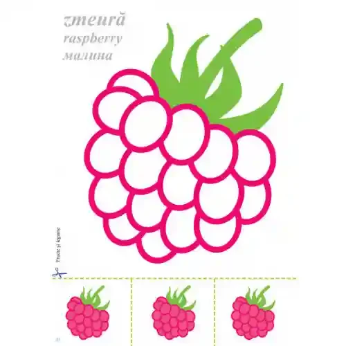 Mapa Fructe si legume. 2