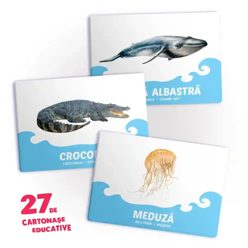 27 de cartonase. Animale de apa 2