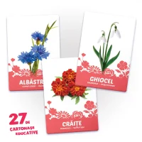 27 de cartonase. Flori 2