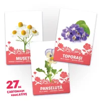 27 de cartonase. Flori 3