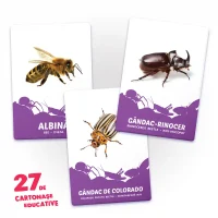 27 de cartonase. Fiinte mici 2