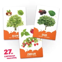 27 de cartonase. Arbori si arbusti frunze si fructe 2