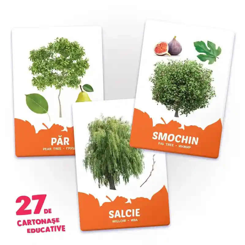 27 de cartonase. Arbori si arbusti frunze si fructe 3