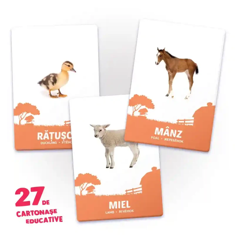 27 de cartonase. Animale si puii lor 2