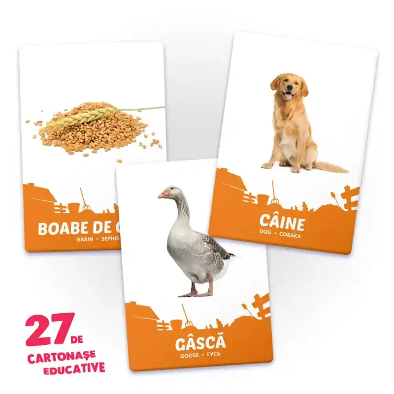 27 de cartonase. Animale domestice si hrana lor 2