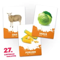 27 de cartonase. Animale domestice si hrana lor 3