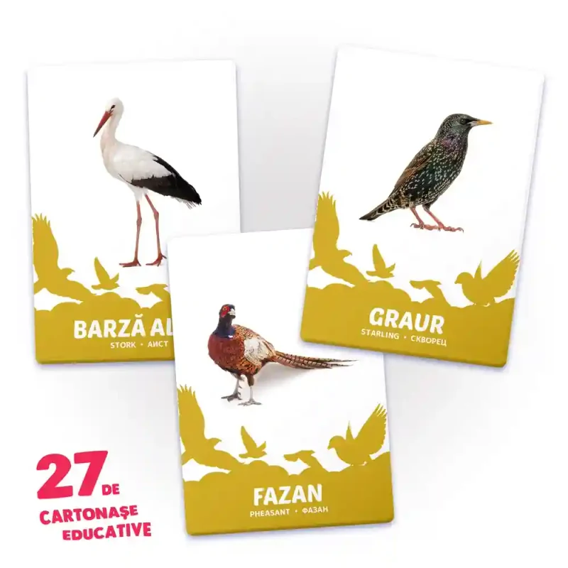 27 de cartonase. Pasari 2