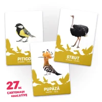 27 de cartonase. Pasari 3