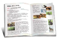 Stiinte cl.3  Manual lucrativ (partea 1) 2