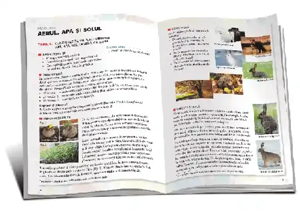 Stiinte cl.3  Manual lucrativ (partea 1) 2
