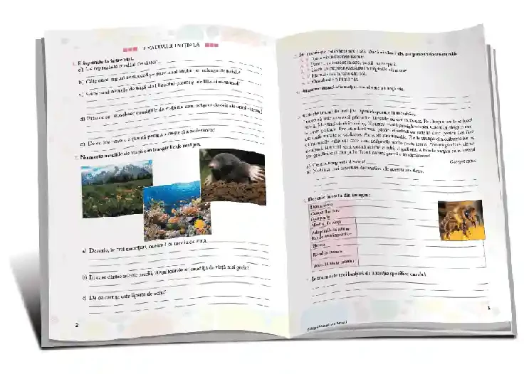 Stiinte cl.4  Manual lucrativ (partea 1) 2