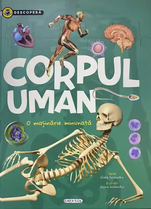 Descopera - Corpul uman