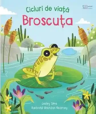 Cicluri de viata. Broscuta