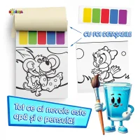 Paleta fermecata : 5 2