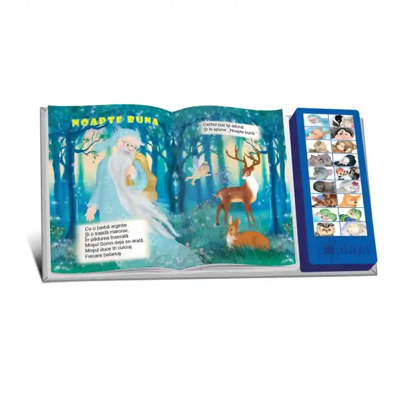 Carte cu sunete. Noapte buna. Carte cu sunete. 2