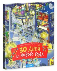 30 дней до Нового года 13