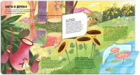 Энциклопедия почемучки. Книжка с окошками. Как устроена природа 5