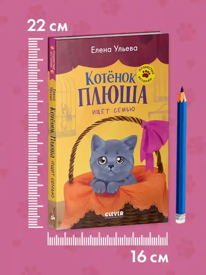 Котенок Плюша ищет семью 10