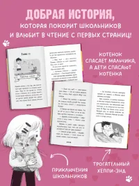 Котенок Плюша ищет семью 5