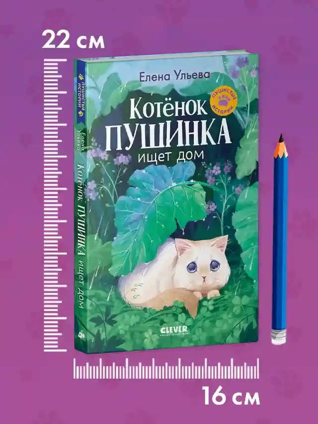 Пушистые истории. Котенок Пушинка ищет дом 8