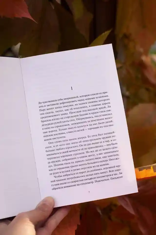 Ли Ховард и призраки поместья Симмонсов — Пирсов 8