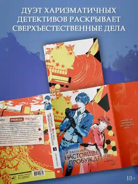 Настоящее пробуждение. Real Awakening. Книга 3 3