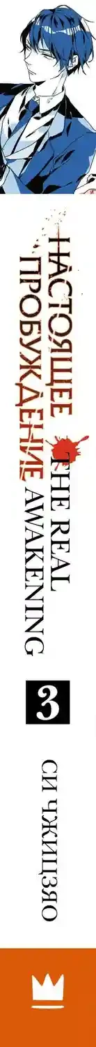Настоящее пробуждение. Real Awakening. Книга 3 16