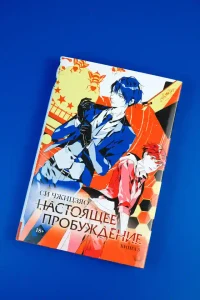 Настоящее пробуждение. Real Awakening. Книга 3 6