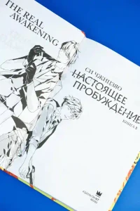 Настоящее пробуждение. Real Awakening. Книга 3 11