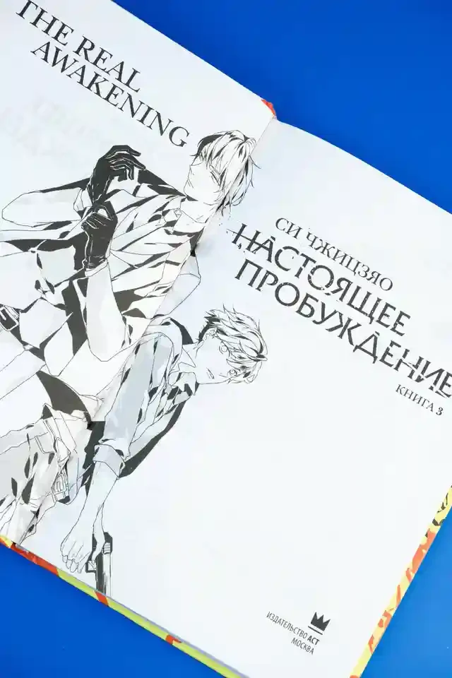 Настоящее пробуждение. Real Awakening. Книга 3 11
