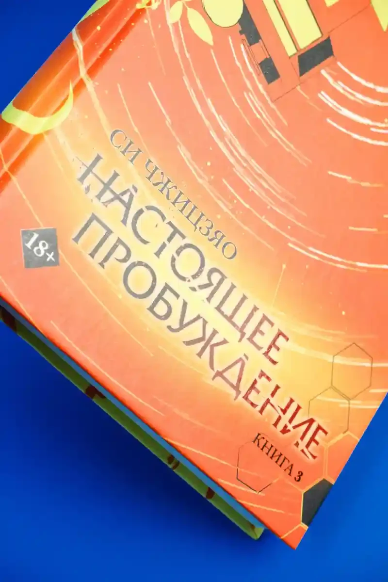 Настоящее пробуждение. Real Awakening. Книга 3 10