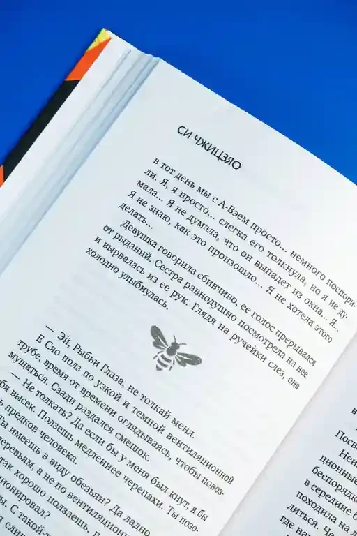 Настоящее пробуждение. Real Awakening. Книга 3 14